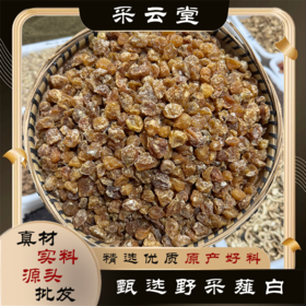 薤白 当季新货 农家生晒 中药材