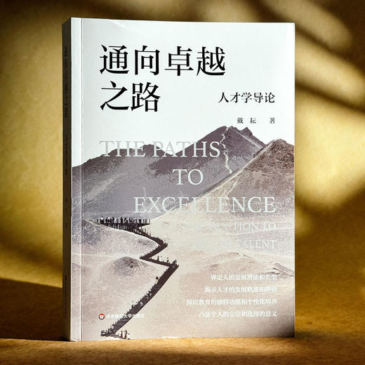通向卓越之路 人才学导论 戴耘 人工智能时代人才 商品图3