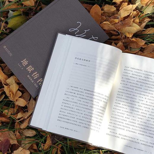 地狱彷徨:解读鲁迅《彷徨》(修订本) 商品图4