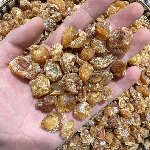 薤白 当季新货 农家生晒 中药材 商品图3