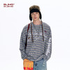 BJHG不计后果 条纹长袖T恤男款春季潮牌美式复古休闲纯棉卫衣薄女 商品缩略图2
