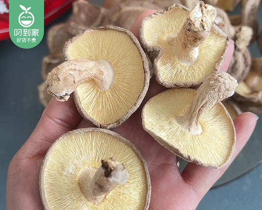 菇芯语生态香菇/1包（300g）生产日期：12月23日 商品图2