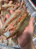& 新鲜上岸的本港沙鲁虾🦐虾壳特薄，虾肉清甜，鲜度满满[强] 活冻 商品缩略图2