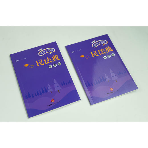给孩子们的民法典.社会编 商品图2