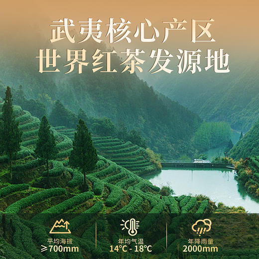 【国色风华礼盒】皇叙特级金骏眉蜜香红茶武夷山茶叶礼盒装高端送礼净含量250g 商品图7