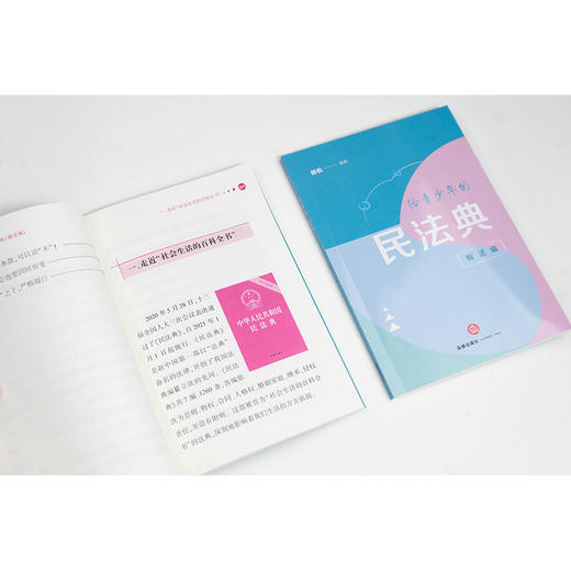 给青少年的民法典.概述编 商品图4