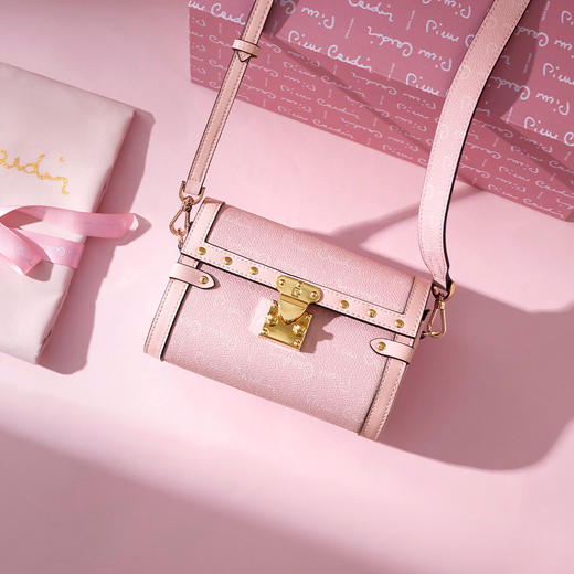【 法国奢牌 线下专柜款 】 Pierre Cardin 皮尔卡丹 高定女包 商品图5