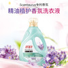 舒蕾丨波卡莉香精油植护香氛洗衣液 2kg/瓶 商品缩略图0