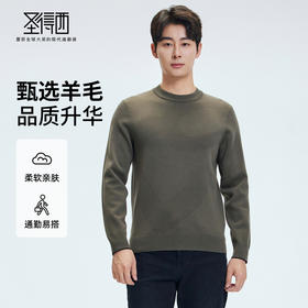 【门店同款&含绵羊毛】圣得西2025年冬季毛衫男款套头柔软针织衫