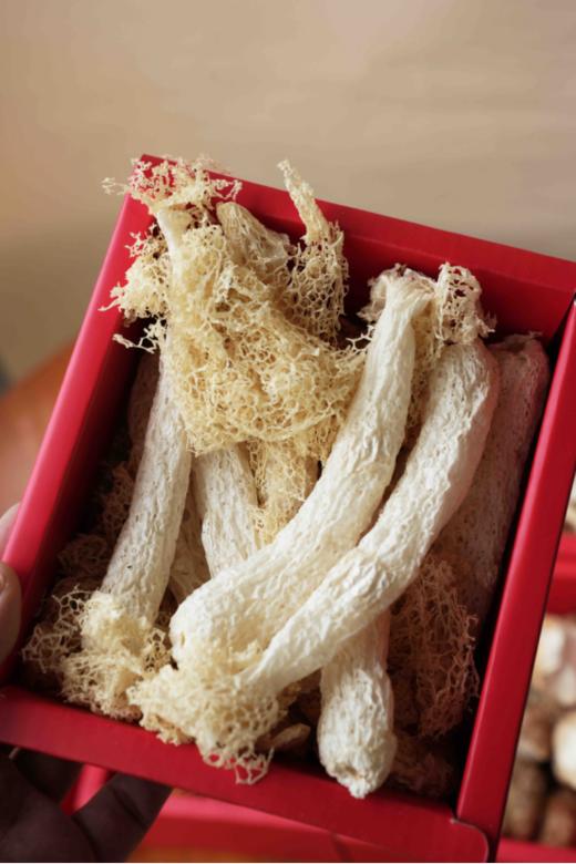 ✨【一朵燕山野菌礼—菌菇礼盒 】💕 手工采摘，😎自然风干，无熏硫无掺杂 👍有羊肚菌、鹿茸菇、❤️蛹虫草、猴头菇、竹荪，🍄杏鲍菇、多种食用菌类 红色大气礼盒装 商品图5