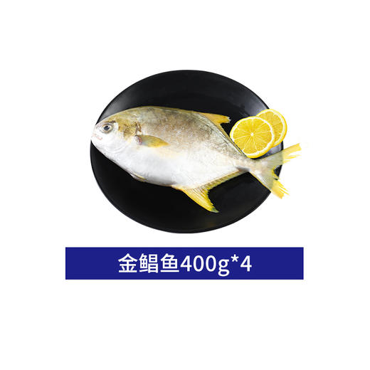 【自营】鲜到鲜得 金鲳鱼400g*4条 舟山海鲜系列甄选金鲳鱼礼盒1.6kg(净重) 商品图1