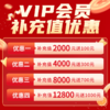 【年终狂欢】VIP会员补充值优惠 商品缩略图0