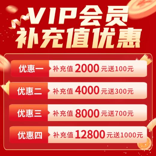 【年终狂欢】VIP会员补充值优惠 商品图0