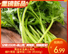 秉真安溪高山有机细叶茼蒿（皇帝菜）/1份（约300g） 商品缩略图0