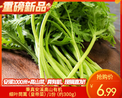 秉真安溪高山有机细叶茼蒿（皇帝菜）/1份（约300g） 商品图0