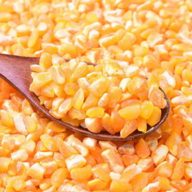 东北玉米  粘黏大碴子  可煮粥、杂粮饭