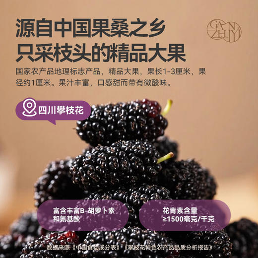 甘之颐 桑葚山楂条250g Q弹不粘腻 开胃零食 大人小孩都爱吃 商品图4