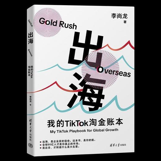 出海:我的TikTok淘金账本 商品图4