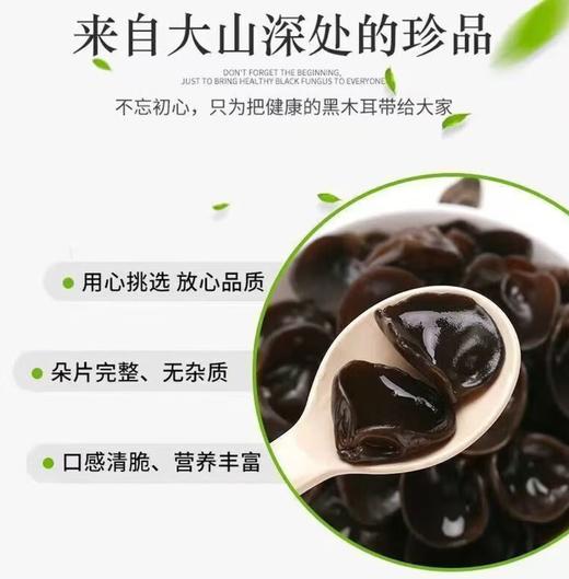 【YC】农家木耳肉厚无根高泡发纯干净重无添加 商品图3