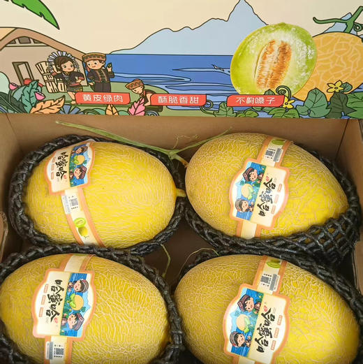 【嘎嘎好吃的佛罗蜜瓜】 黄皮 绿瓤 嘎嘎脆甜 爱吃脆甜瓜的强烈推荐[色]刚到的新货 商品图6