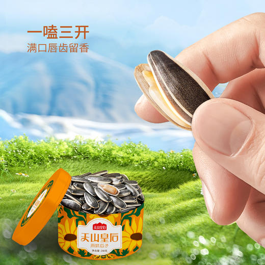 天山皇后瓜子礼盒装 1308g/盒 商品图7