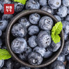2025 西昌高山阳光花香蓝莓 L25 应季新鲜 产地直发 顺丰空运 商品缩略图1