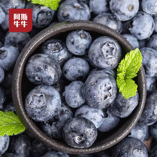 2025 西昌高山阳光花香蓝莓 L25 应季新鲜 产地直发 顺丰空运 商品图1