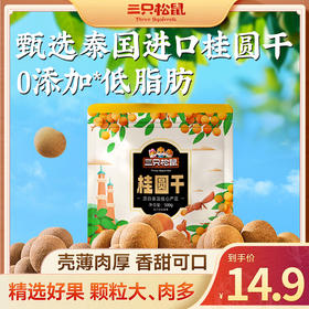 三只松鼠 量贩袋装_桂圆干500g