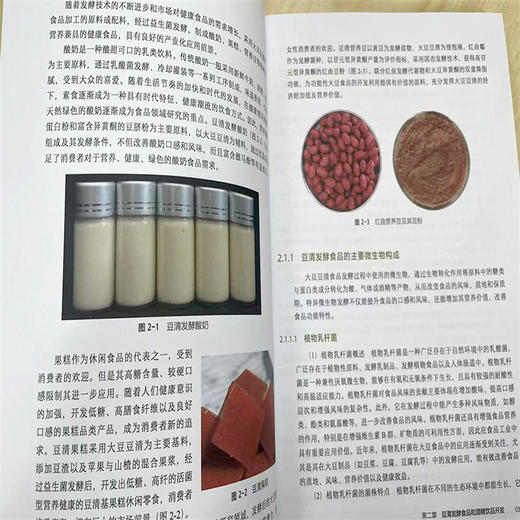 大豆豆清高值化创新研究 商品图4