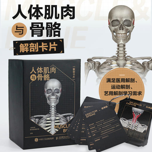 人体肌肉与骨骼解剖卡片 商品图0