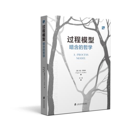 过程模型:暗含的哲学 商品图0