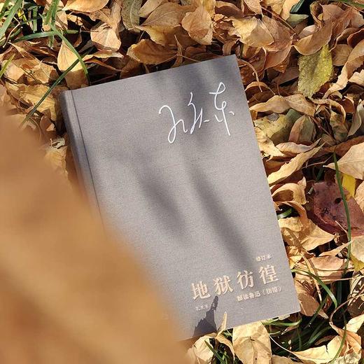 地狱彷徨:解读鲁迅《彷徨》(修订本) 商品图2