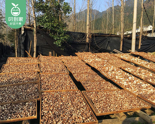 菇芯语生态香菇/1包（300g）生产日期：12月23日 商品图7