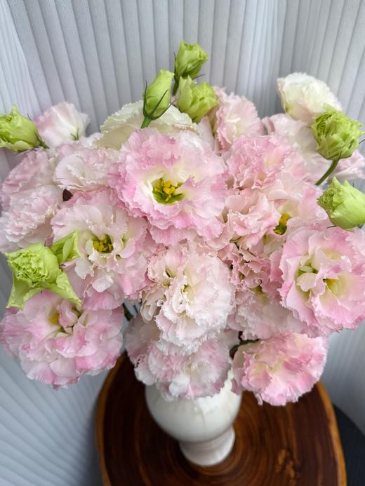 【双倍快乐.两种稀有洋桔梗】波浪浅紫洋桔梗7-10朵+波浪粉桔梗7-10朵/份 商品图3