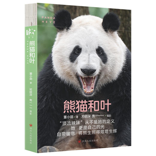熊猫和叶 商品图3