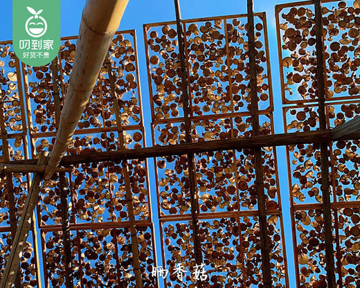 菇芯语生态香菇/1包（300g）生产日期：12月23日 商品图8