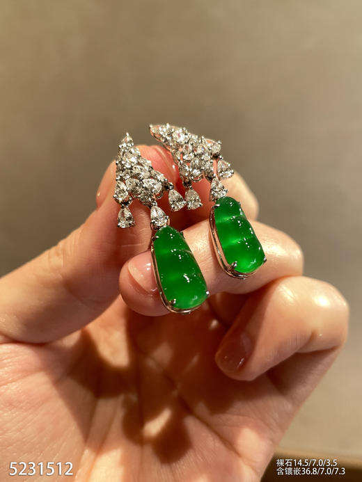 富贵豆耳坠【5231512】具体价格微信咨询 商品图0