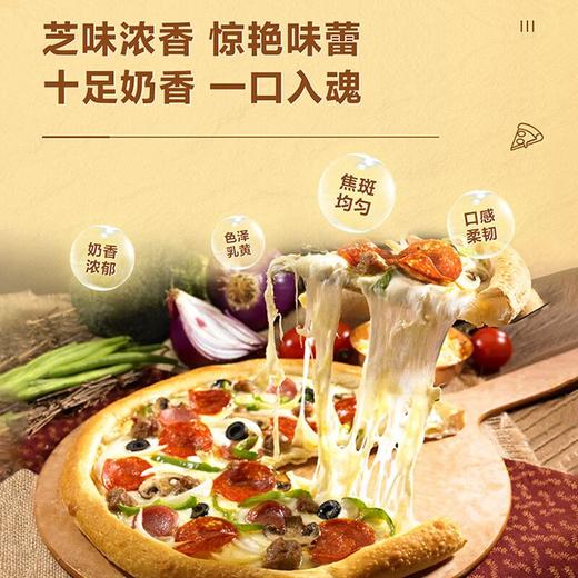 伊利100g马苏里拉芝士碎 商品图4