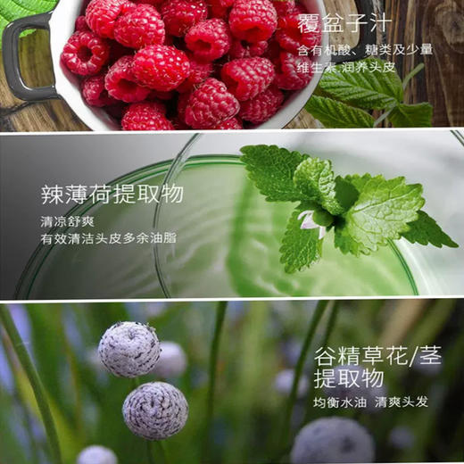 【新年秒杀】滋源SEEYOUNG无患子保湿滋养洗头水-中干性535ml 商品图4