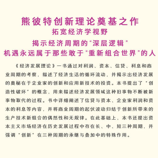 经济发展理论 商品图3