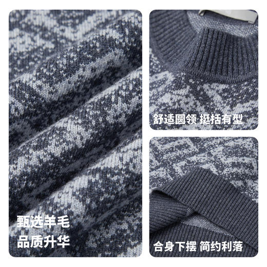 【门店同款&含山羊绒】圣得西2025年冬季毛衫提花男款圆领针织衫 商品图4