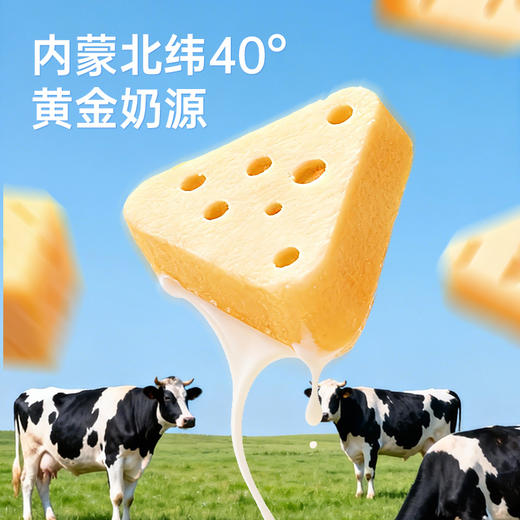【鲜食新品】几多全高钙芝士三角酪 120g 商品图2