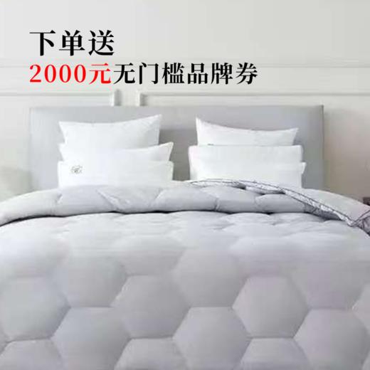 【春上新】【送2000线下无门槛券】10楼 恐龙 星宇抗菌鹅绒冬被 吊牌价8980-9980元 活动价3999元（大小同价） 商品图0