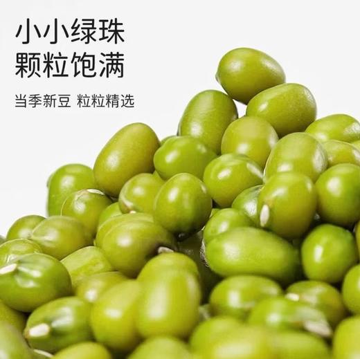 【YC】正宗东北绿豆新货五谷杂粮 商品图0