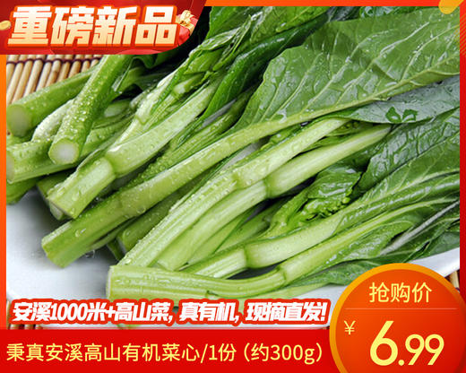 秉真安溪高山有机菜心/1份（约300g） 商品图0