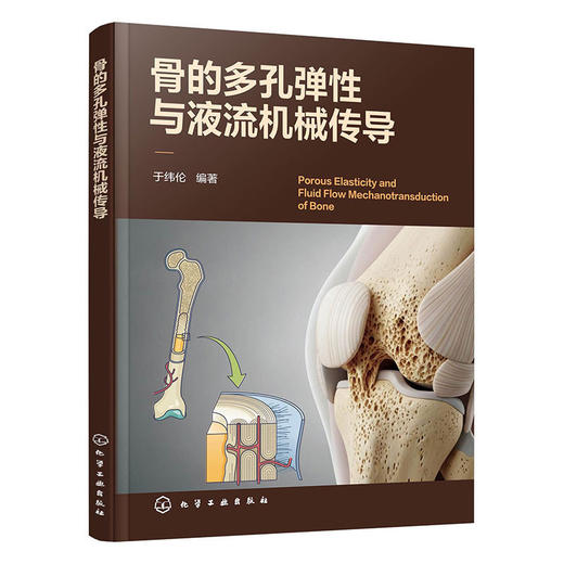 骨的多孔弹性与液流机械传导 商品图1