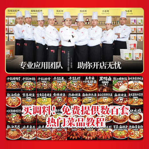 【试用/体验装】金汤酸辣酱调味料 商品图7
