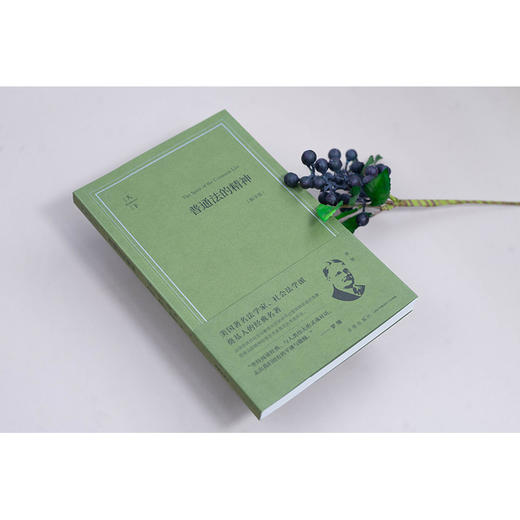 普通法的精神:畅享版 商品图2