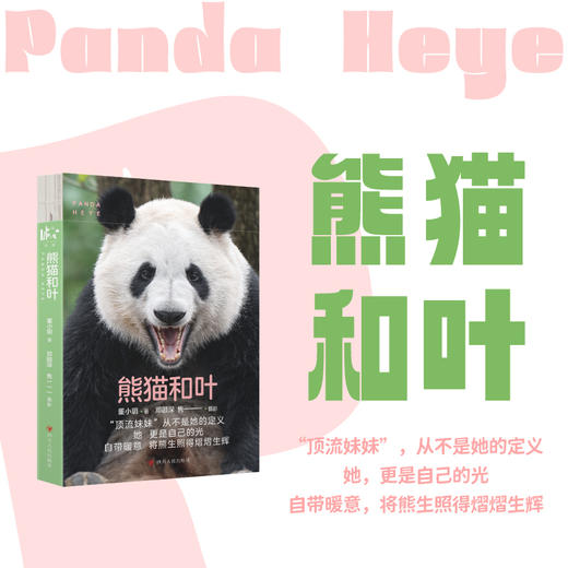 熊猫和叶 商品图0