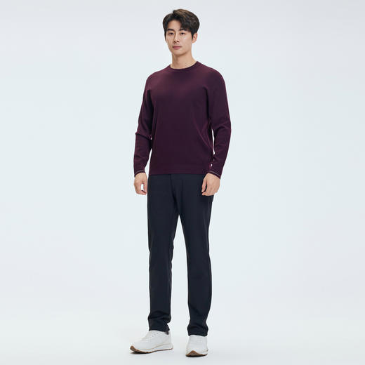 【门店同款&含绵羊毛】圣得西冬季打底质感羊毛衫25年男士针织衫 商品图3